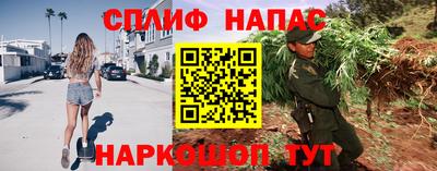 спиды Дубна