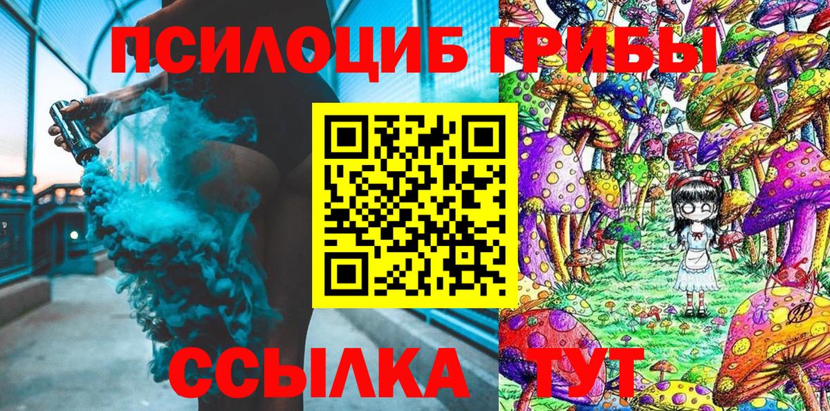 Краснотурьинск  Галлюциногенные грибы MAGIC MUSHROOMS  Вход с VPN  Псилоцибиновые грибы Psilocybe 